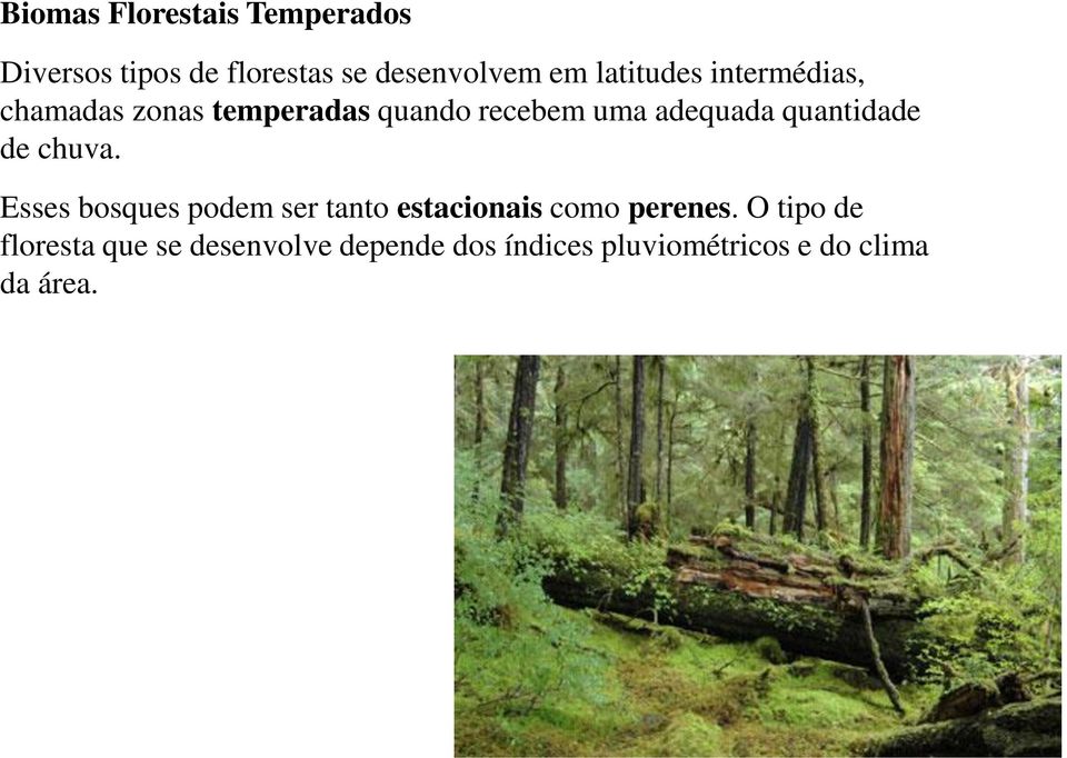 quantidade de chuva. Esses bosques podem ser tanto estacionais como perenes.