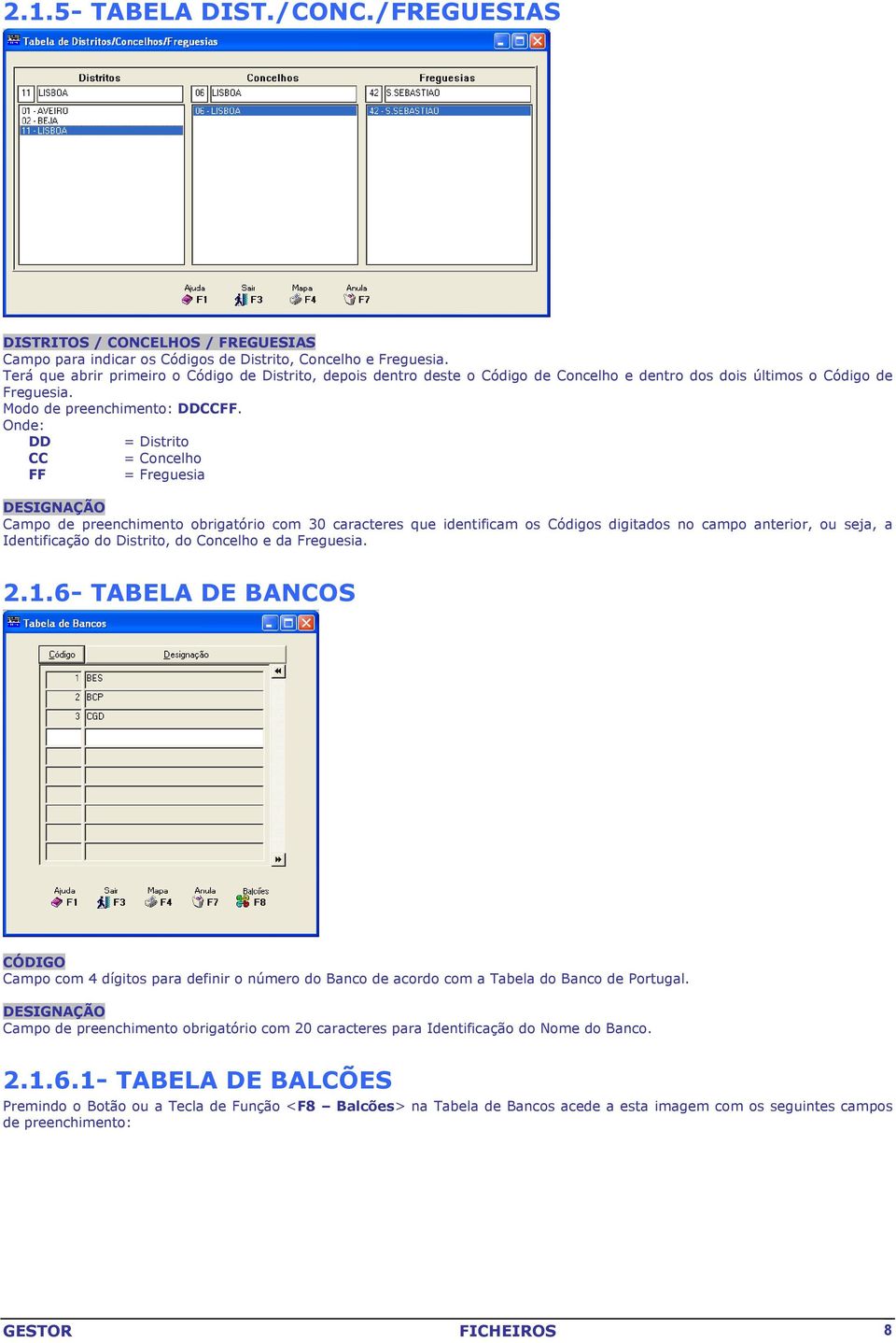 Onde: DD = Distrito CC = Concelho FF = Freguesia DESIGNAÇÃO Campo de preenchimento obrigatório com 30 caracteres que identificam os Códigos digitados no campo anterior, ou seja, a Identificação do