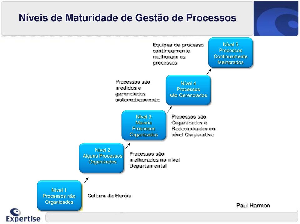 Nível 3 Maioria Organizados são Organizados e Redesenhados no nível Corporativo Nível 2 Alguns