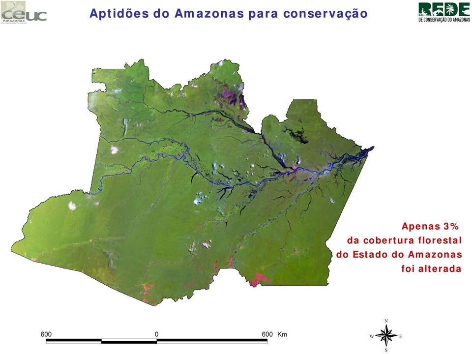 cobertura florestal do