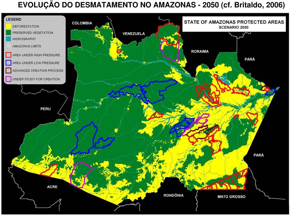 AMAZONAS - 2050