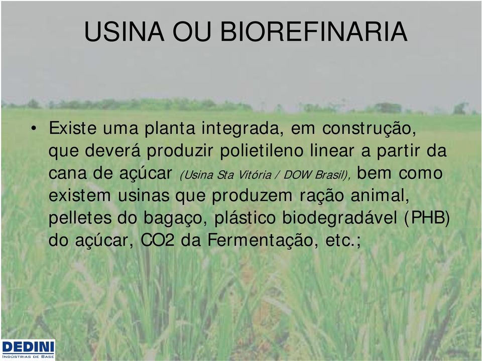 Vitória / DOW Brasil), bem como existem usinas que produzem ração animal,