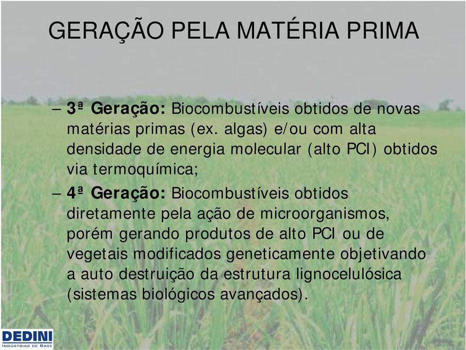 Biocombustíveis obtidos diretamente pela ação de microorganismos, porém gerando produtos de alto PCI ou de