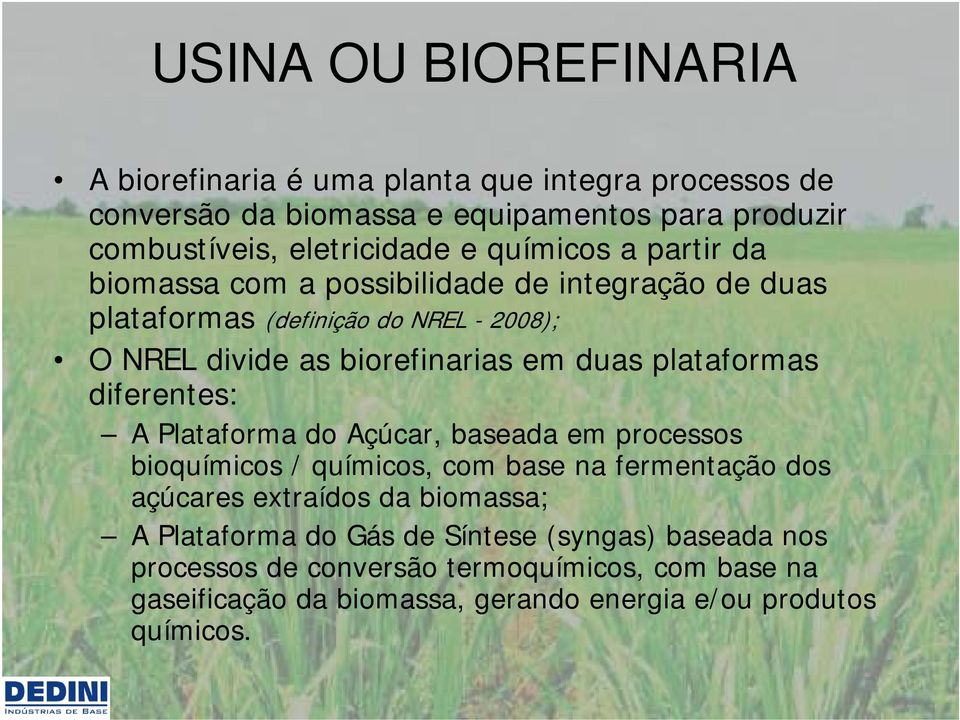 plataformas diferentes: A Plataforma do Açúcar, baseada em processos bioquímicos / químicos, com base na fermentação dos açúcares extraídos da biomassa; A