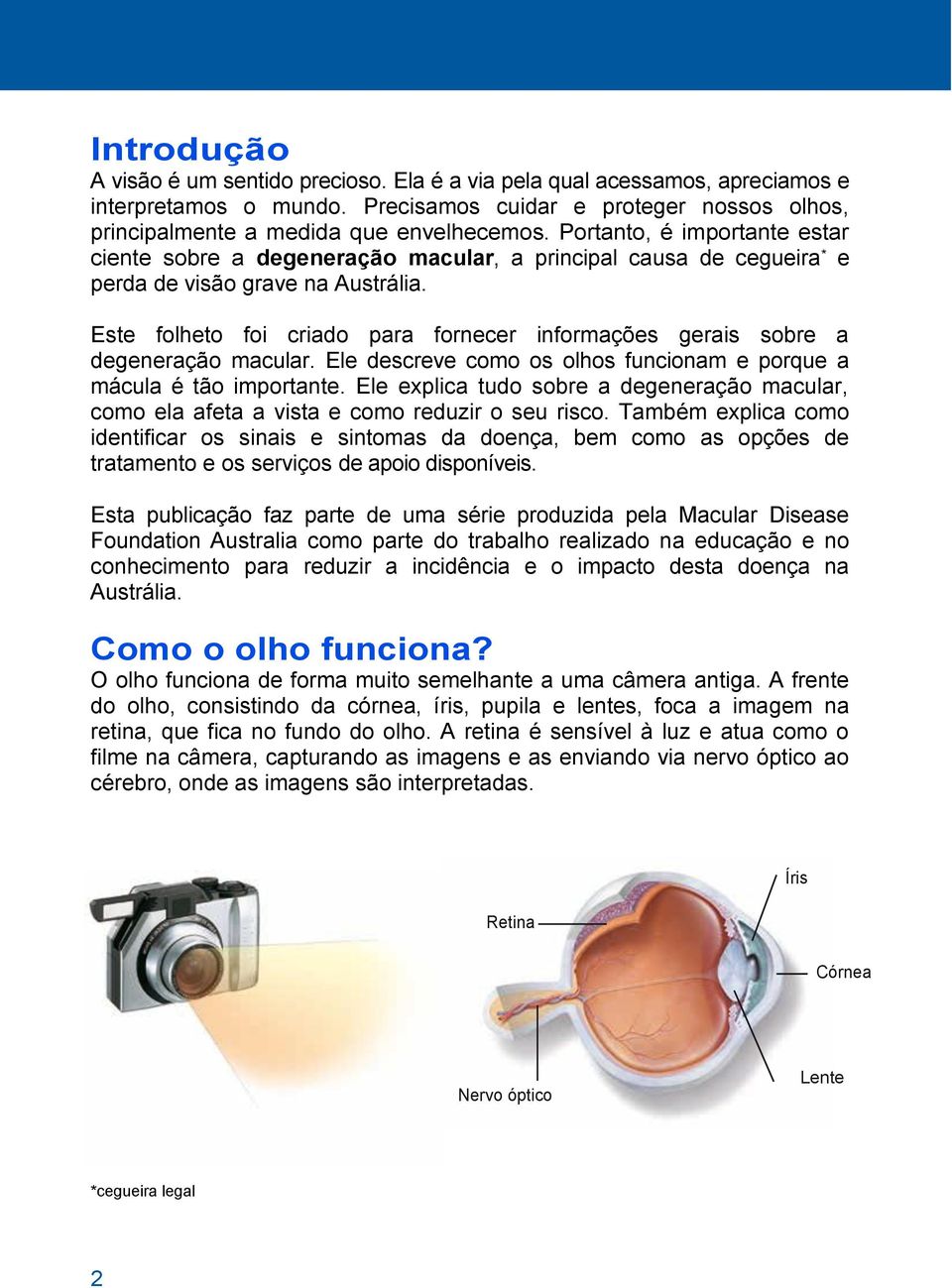 Este folheto foi criado para fornecer informações gerais sobre a degeneração macular. Ele descreve como os olhos funcionam e porque a mácula é tão importante.