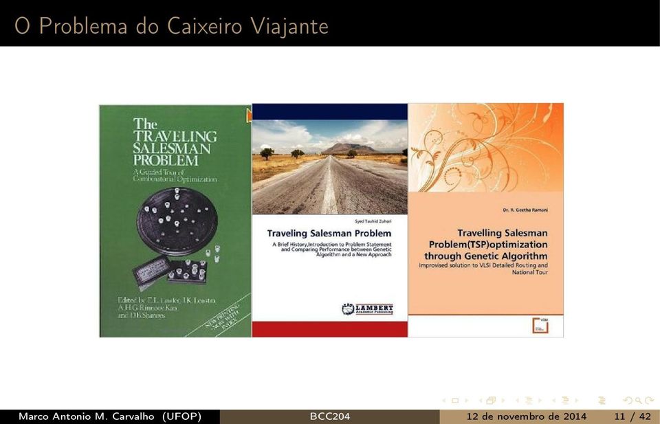 Carvalho (UFOP) BCC204 12