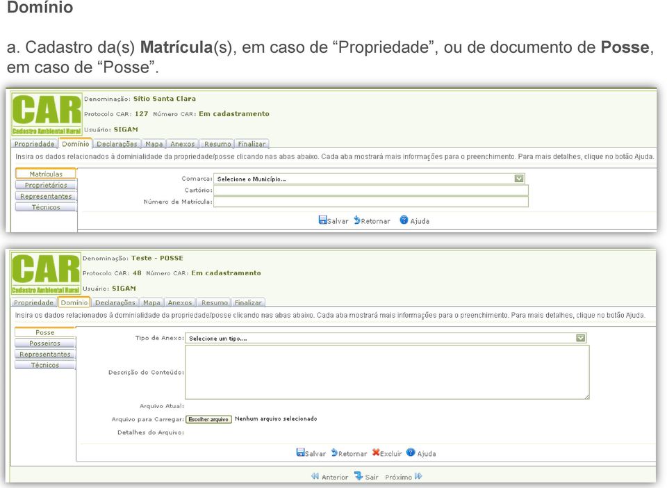 Matrícula(s), em caso de