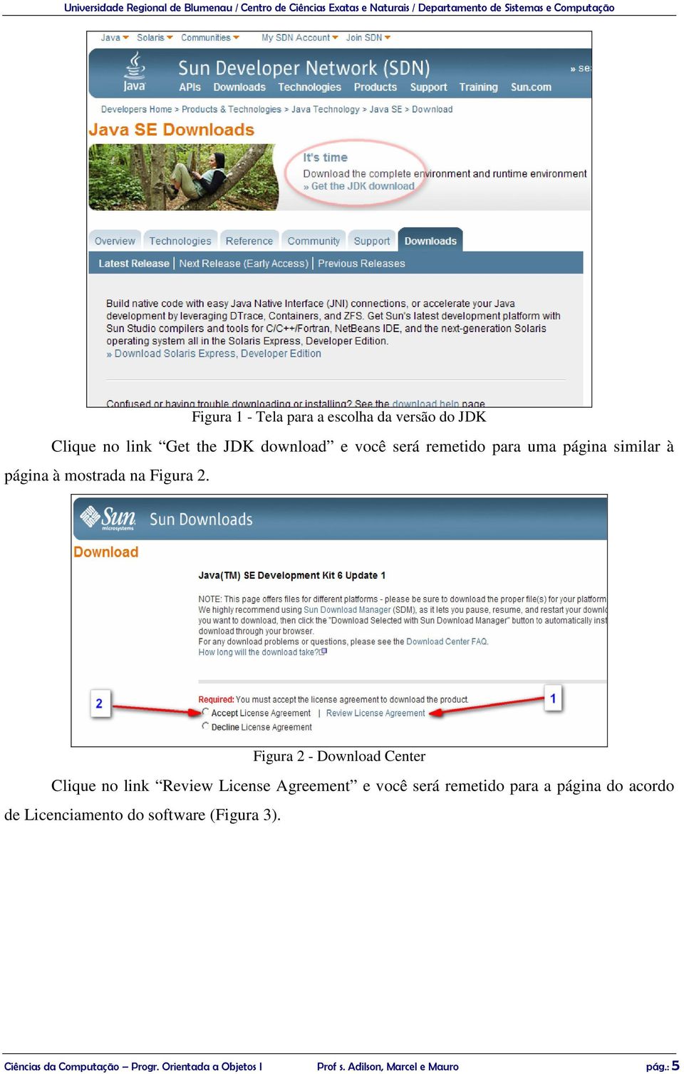 Figura 2 - Download Center Clique no link Review License Agreement e você será remetido para a página