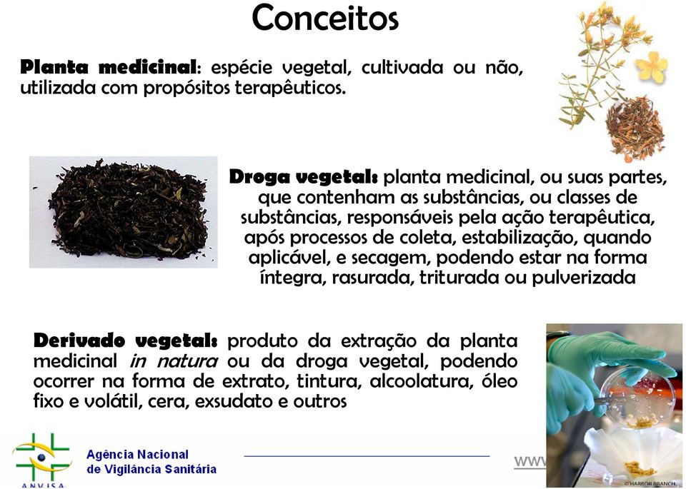 após processos de coleta, estabilização, quando aplicável, e secagem, podendo estar na forma íntegra, rasurada, triturada ou pulverizada