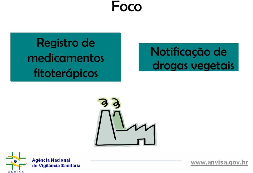 fitoterápicos