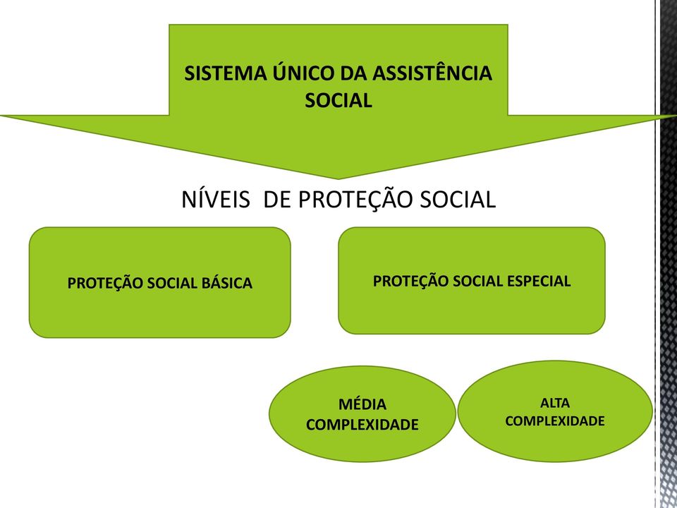 SOCIAL BÁSICA PROTEÇÃO SOCIAL