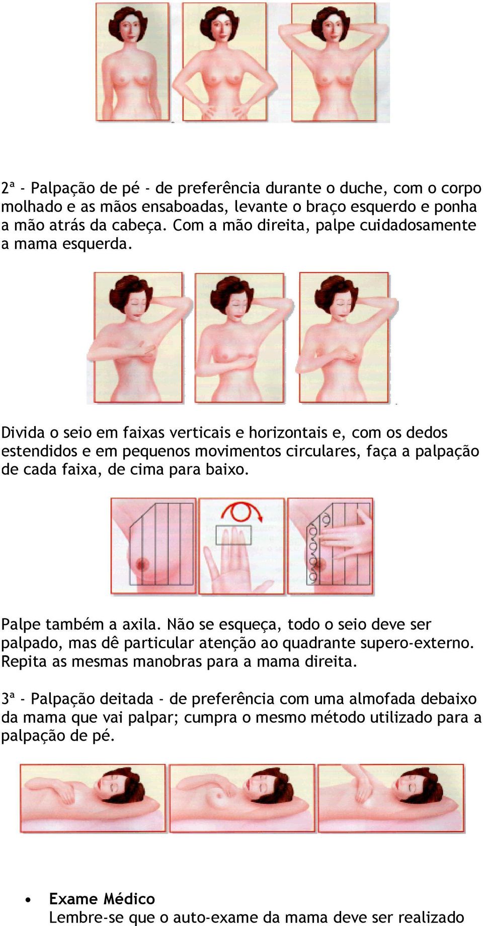 Divida o seio em faixas verticais e horizontais e, com os dedos estendidos e em pequenos movimentos circulares, faça a palpação de cada faixa, de cima para baixo. Palpe também a axila.