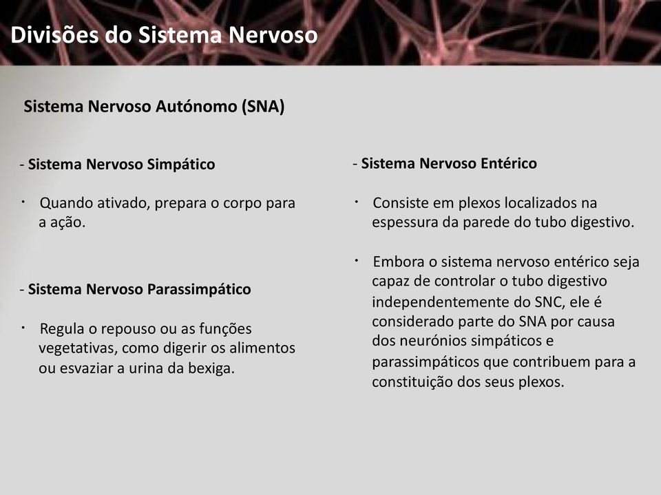 - Sistema Nervoso Entérico Consiste em plexos localizados na espessura da parede do tubo digestivo.