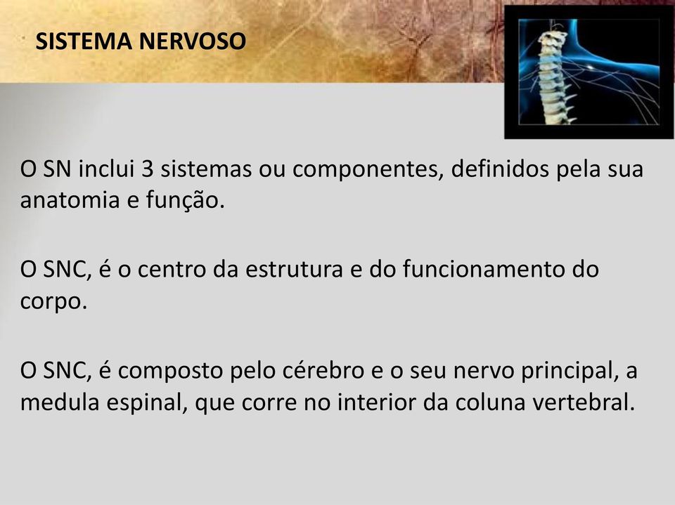 O SNC, é o centro da estrutura e do funcionamento do corpo.