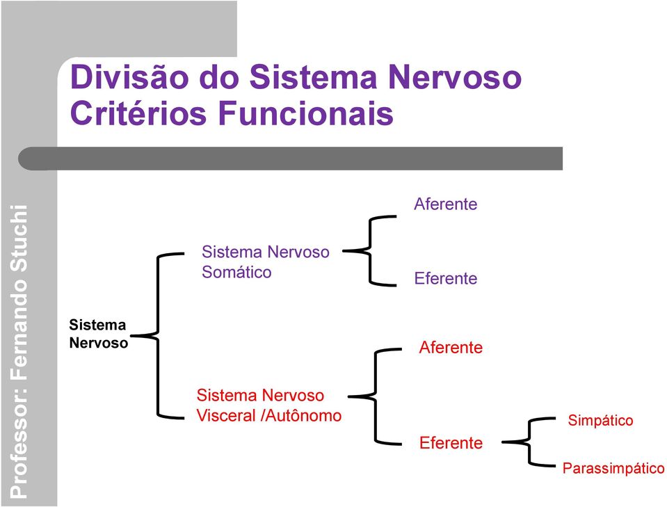 Somático Sistema Nervoso Visceral /Autônomo