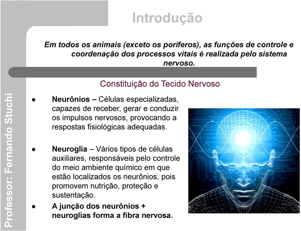 Constituição do Tecido Nervoso Neurônios Células especializadas, capazes de receber, gerar e conduzir os impulsos nervosos, provocando a