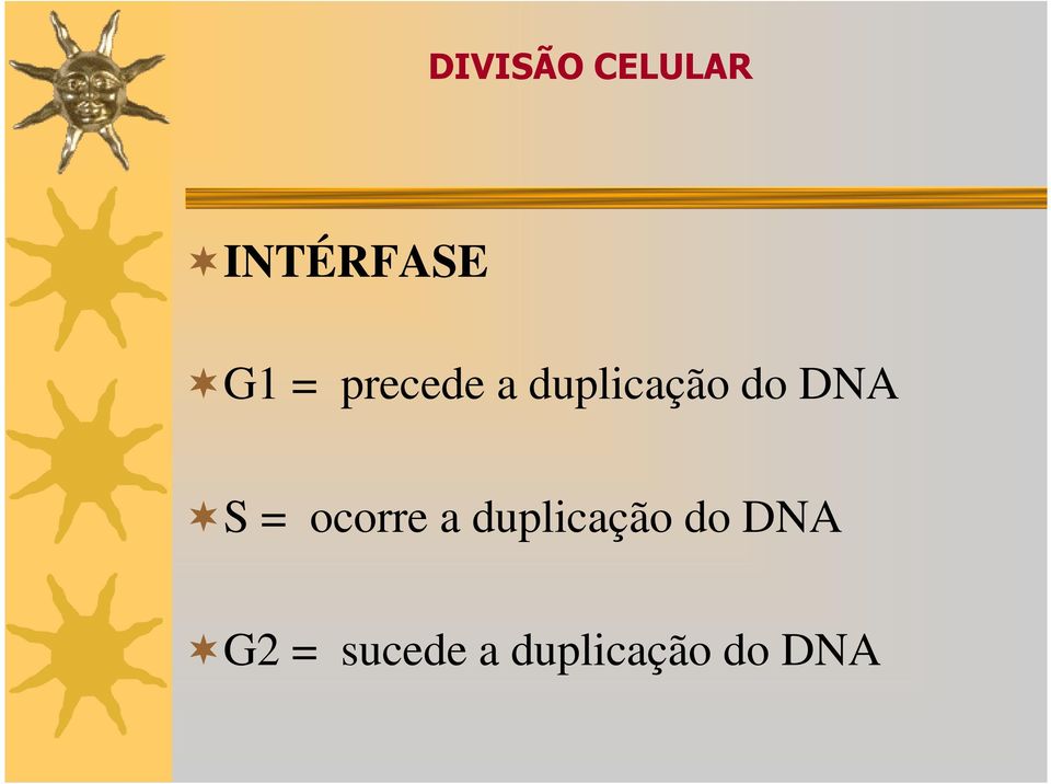 ocorre a duplicação do DNA