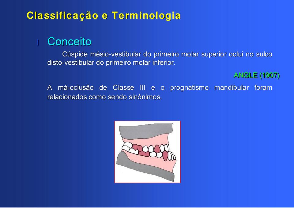 primeiro molar inferior.