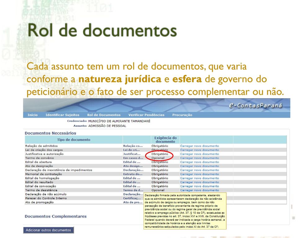 jurídica e esfera de governo do peticionário