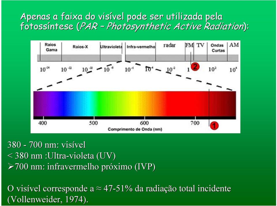 nm :Ultra-violeta (UV) 700 nm: infravermelho próximo (IVP) O visível