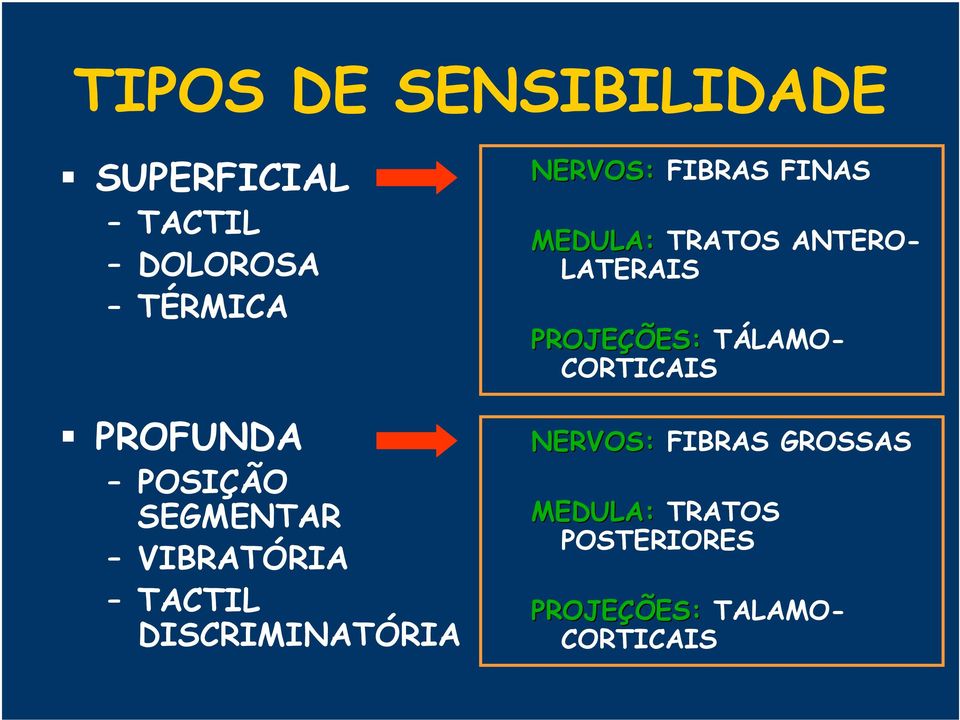 FINAS MEDULA: TRATOS ANTERO- LATERAIS PROJEÇÕES: TÁLAMO- CORTICAIS