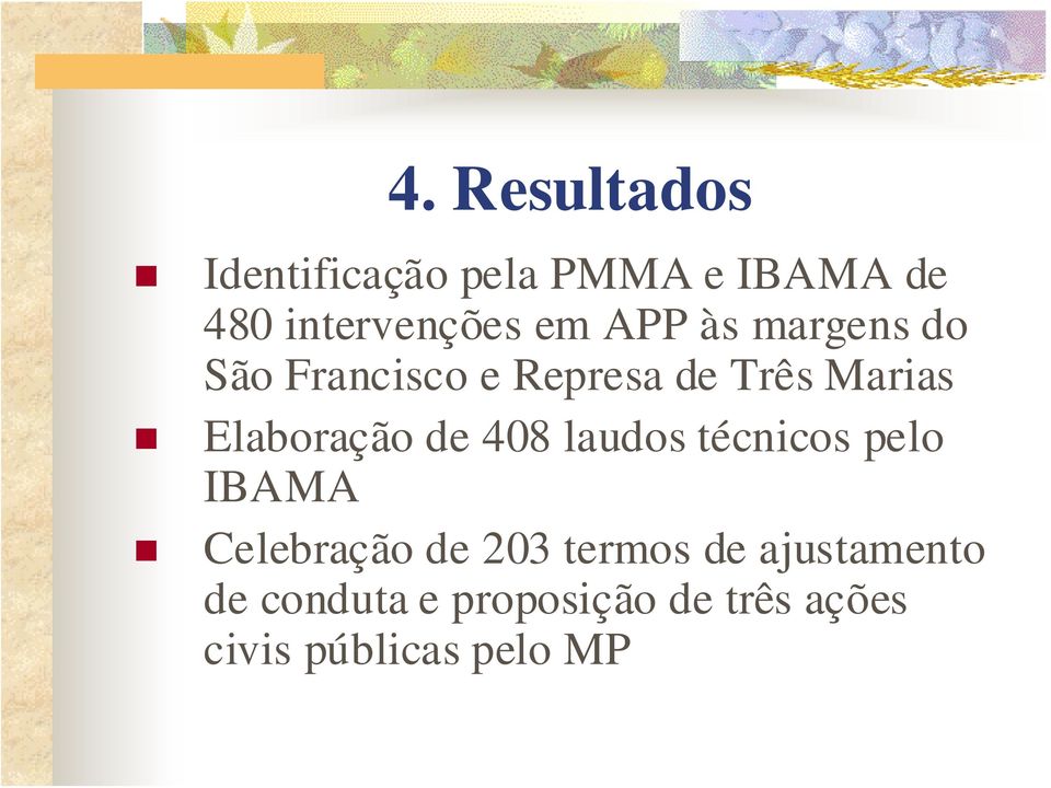 Elaboração de 408 laudos técnicos pelo IBAMA Celebração de 203