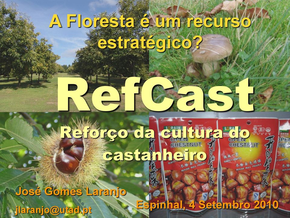 RefCast Reforço da cultura do