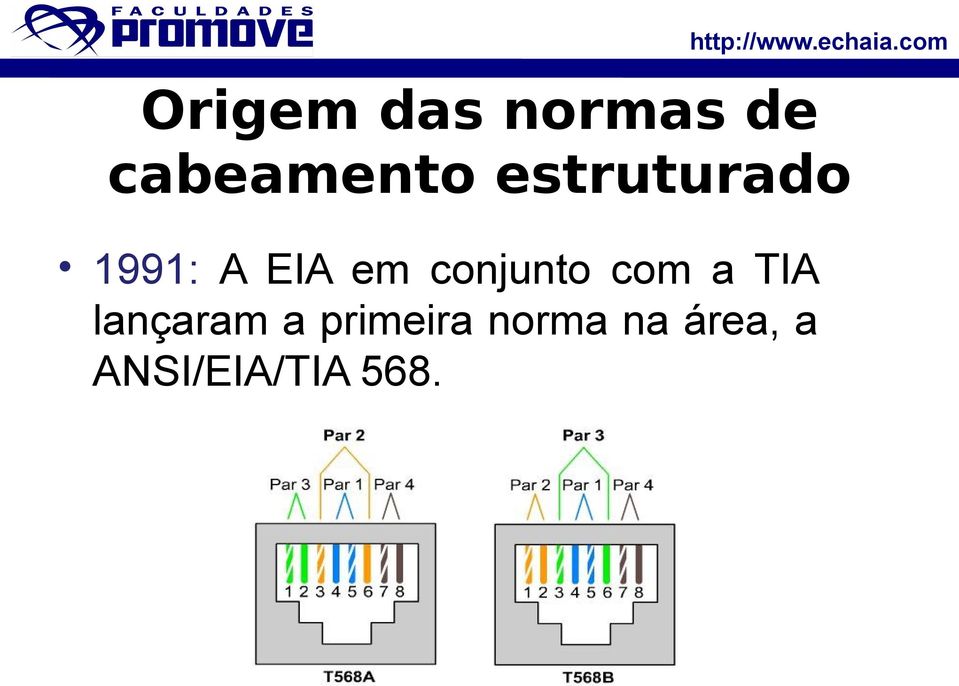 conjunto com a TIA lançaram a