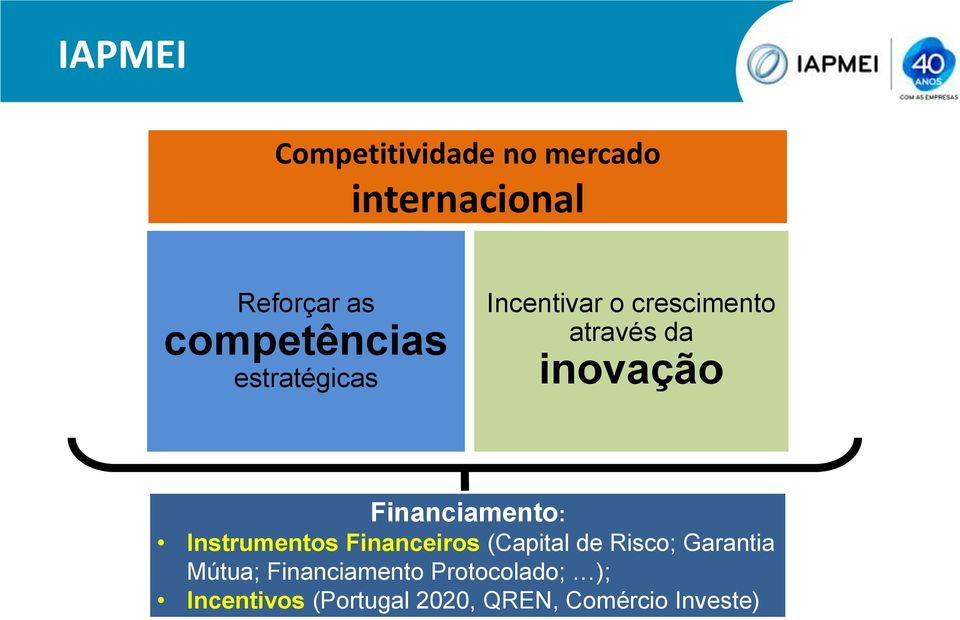 Financiamento: Instrumentos Financeiros (Capital de Risco; Garantia