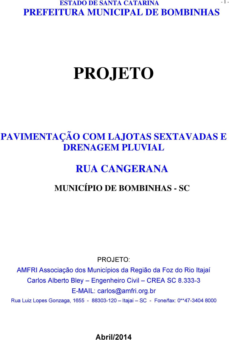 do Rio Itajaí Carlos Alberto Bley Engenheiro Civil CREA SC 8.333-3 E-MAIL: carlos@amfri.