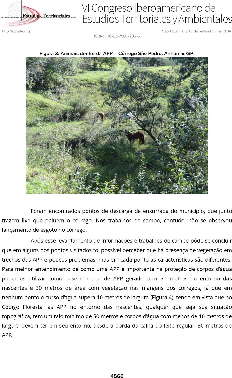 Após esse levantamento de informações e trabalhos de campo pôde-se concluir que em alguns dos pontos visitados foi possível perceber que há presença de vegetação em trechos das APP e poucos