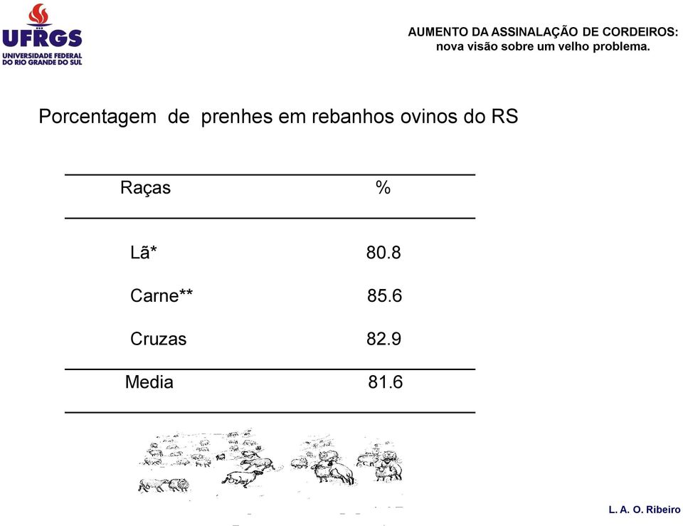 Raças % Lã* 80.