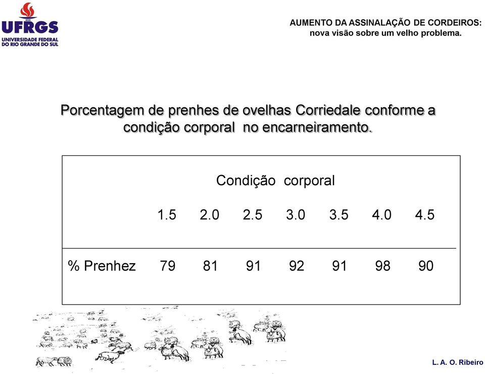 encarneiramento. Condição corporal 1.5 2.