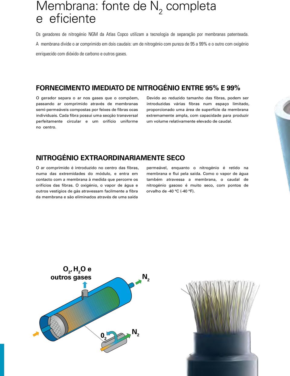 FORNECIMENTO IMEDIATO DE NITROGÉNIO ENTRE 95% E 99% O gerador separa o ar nos gases que o compõem, passando ar comprimido através de membranas semi-permeáveis compostas por feixes de fibras ocas