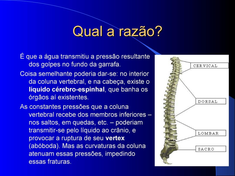 órgãos aí existentes. As constantes pressões que a coluna vertebral recebe dos membros inferiores nos saltos, em quedas, etc.