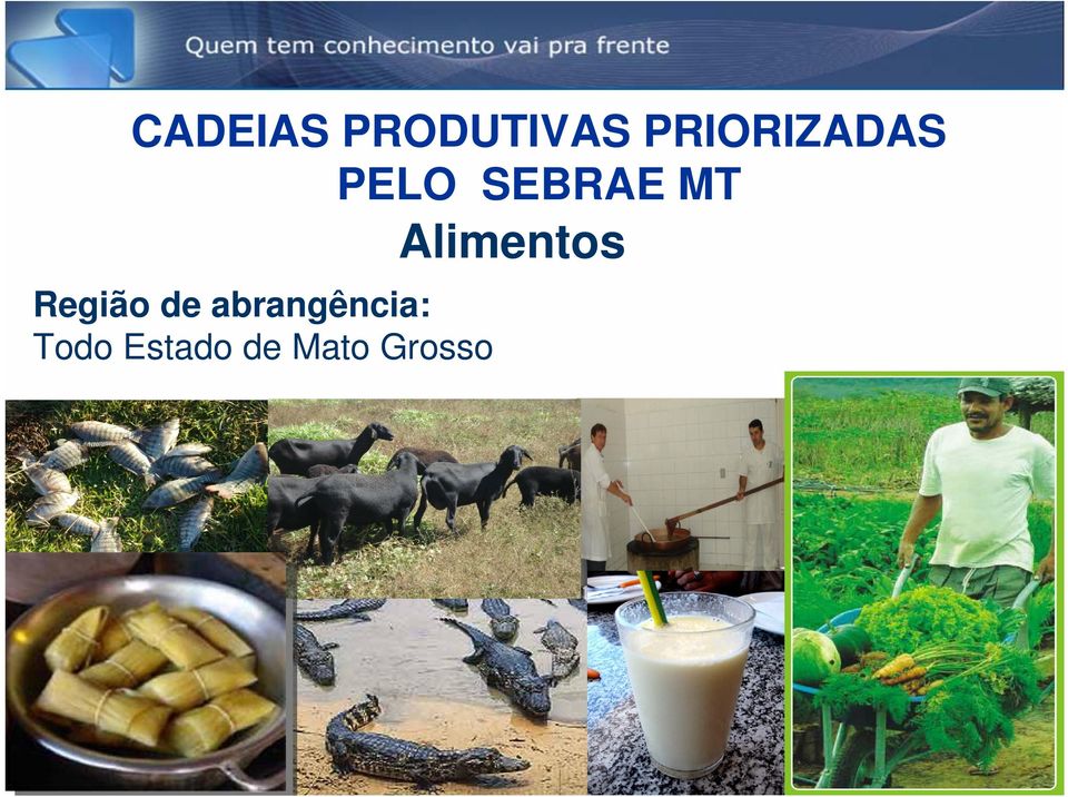 Alimentos Região de