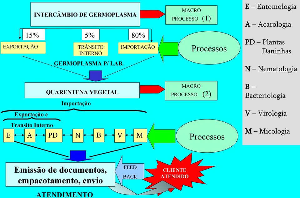 Nematologia QUARENTENA VEGETAL Importação Exportação e Transito Interno E A PD N B V M MACRO PROCESSO