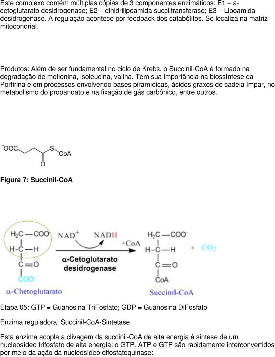 Produtos: Além de ser fundamental no ciclo de Krebs, o Succinil-CoA é formado na degradação de metionina, isoleucina, valina.