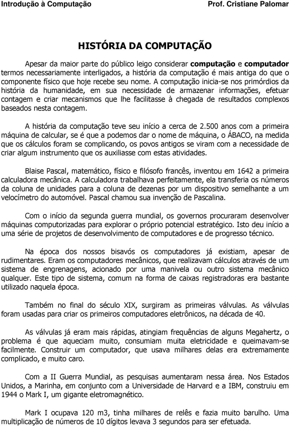 A computação inicia-se nos primórdios da história da humanidade, em sua necessidade de armazenar informações, efetuar contagem e criar mecanismos que lhe facilitasse à chegada de resultados complexos