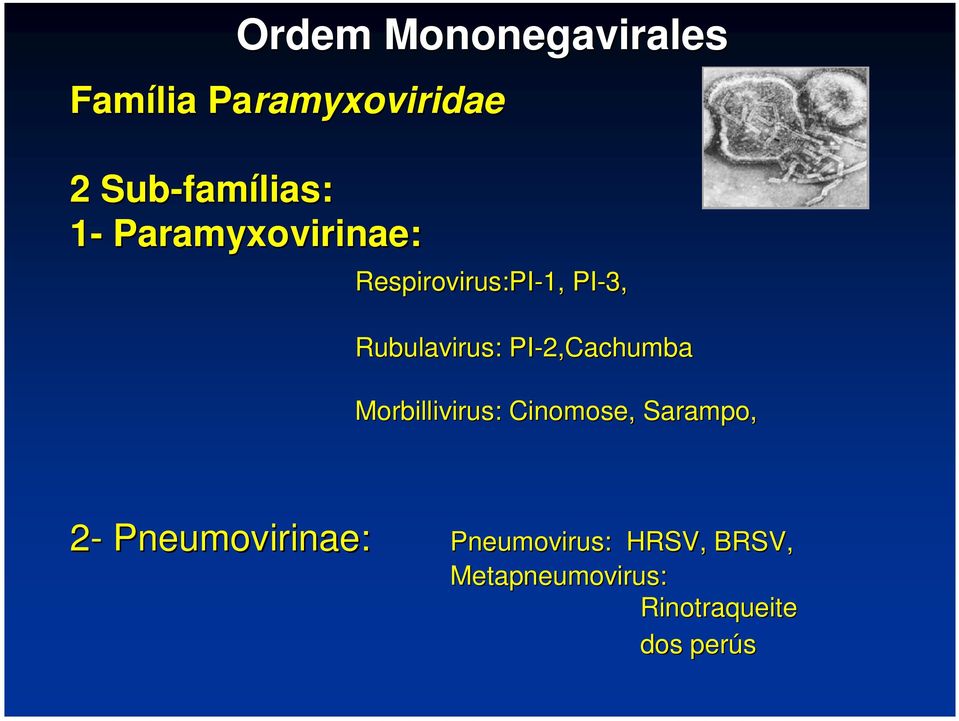 PI-2, 2,Cachumba Morbillivirus: Cinomose,, Sarampo, 2-