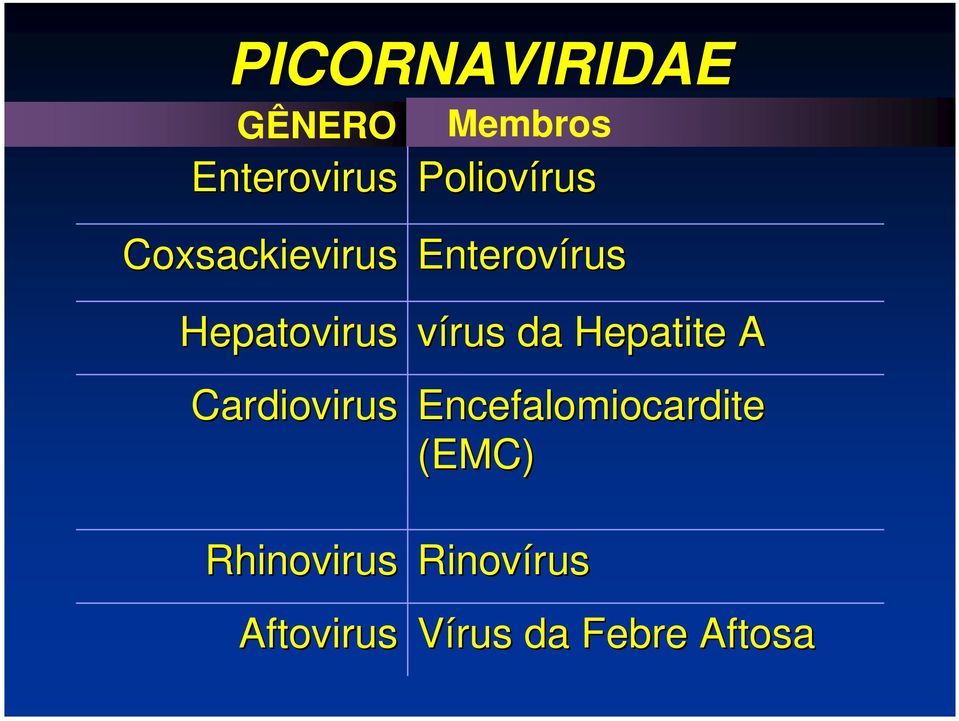 Rhinovirus Aftovirus Enterovírus rus vírus da