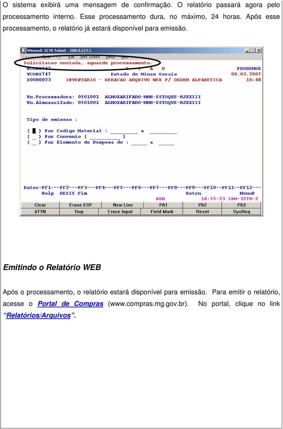 Após esse processamento, o relatório já estará disponível para emissão.