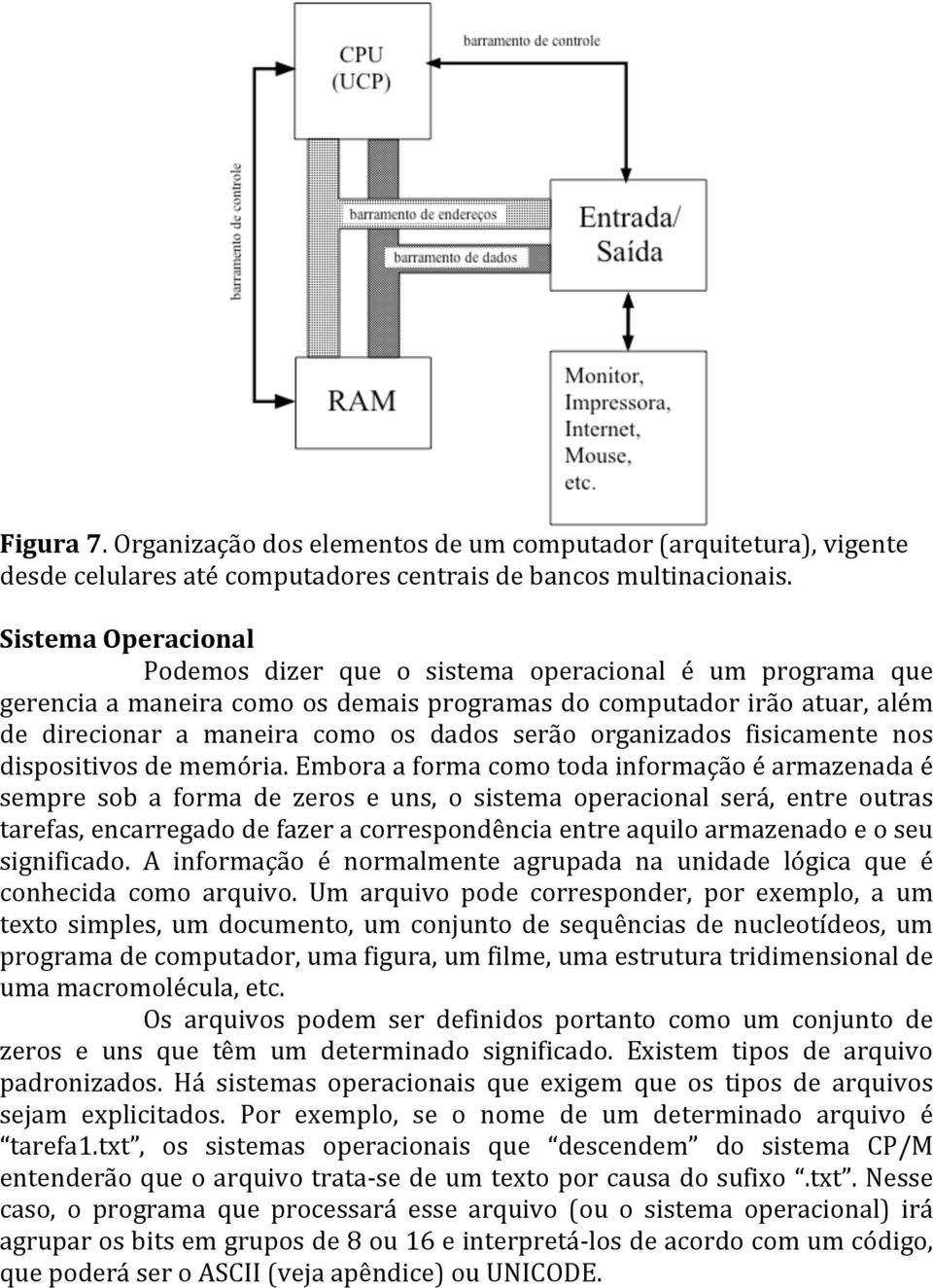 organizados fisicamente nos dispositivos de memória.