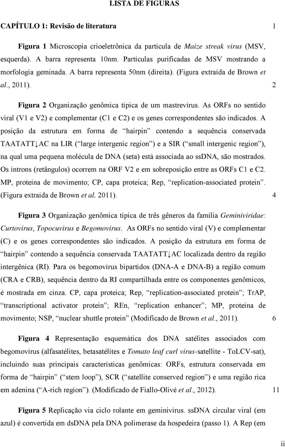 As ORFs no sentido viral (V1 e V2) e complementar (C1 e C2) e os genes correspondentes são indicados.