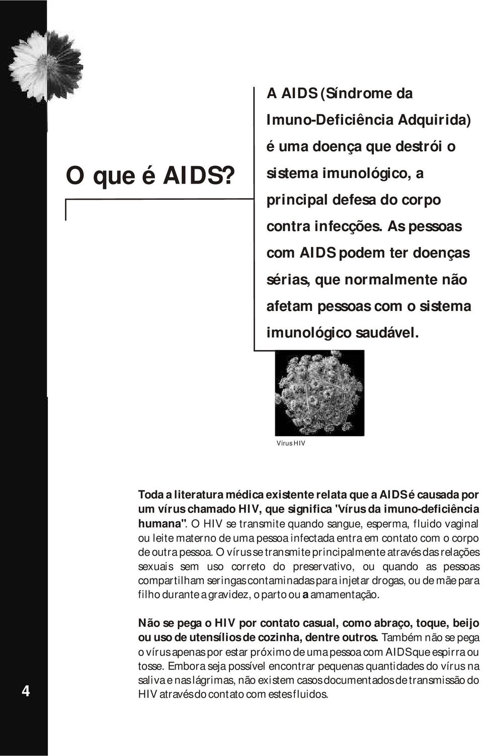 Vírus HIV Toda a literatura médica existente relata que a AIDS é causada por um vírus chamado HIV, que significa "vírus da imuno-deficiência humana".
