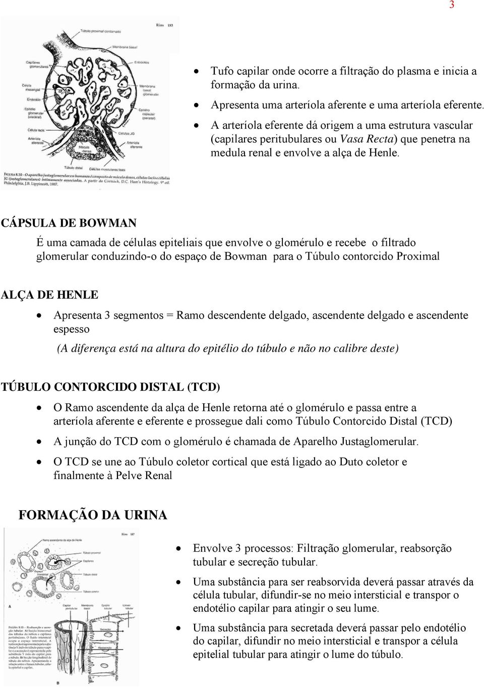 CÁPSULA DE BOWMAN É uma camada de células epiteliais que envolve o glomérulo e recebe o filtrado glomerular conduzindo-o do espaço de Bowman para o Túbulo contorcido Proximal ALÇA DE HENLE Apresenta