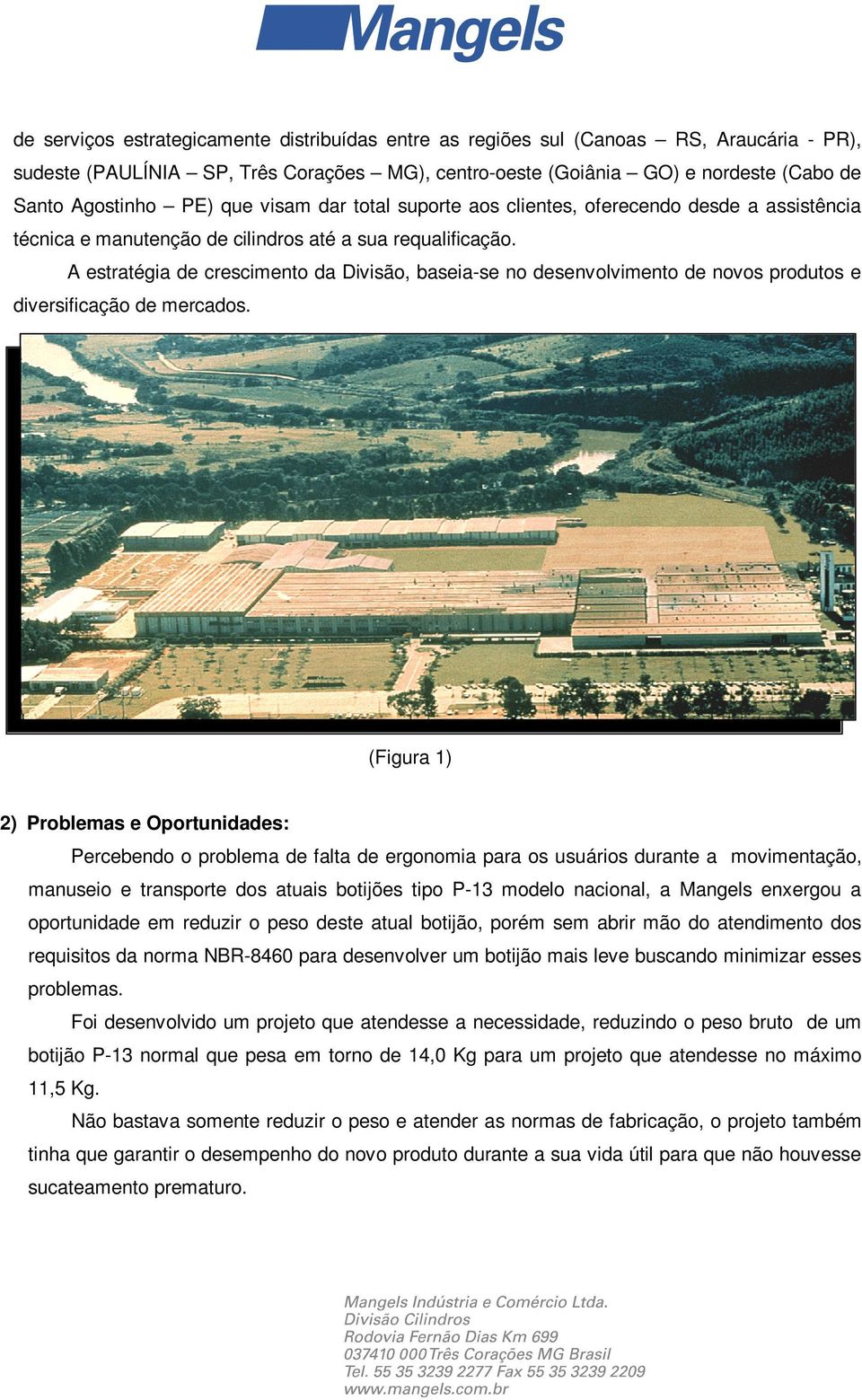 A estratégia de crescimento da Divisão, baseia-se no desenvolvimento de novos produtos e diversificação de mercados.