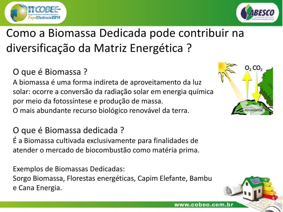 fotossíntese e produção de massa. O mais abundante recurso biológico renovável da terra. O que é Biomassa dedicada?