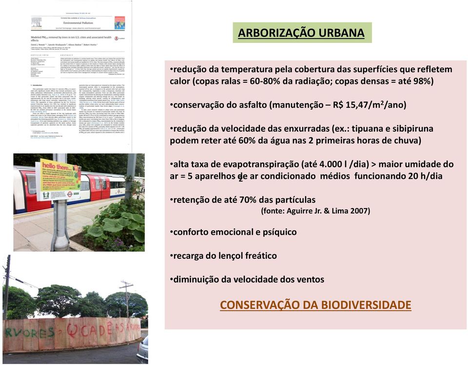 : tipuana e sibipiruna podem reter até 60% da água nas 2 primeiras horas de chuva) alta taxa de evapotranspiração (até 4.