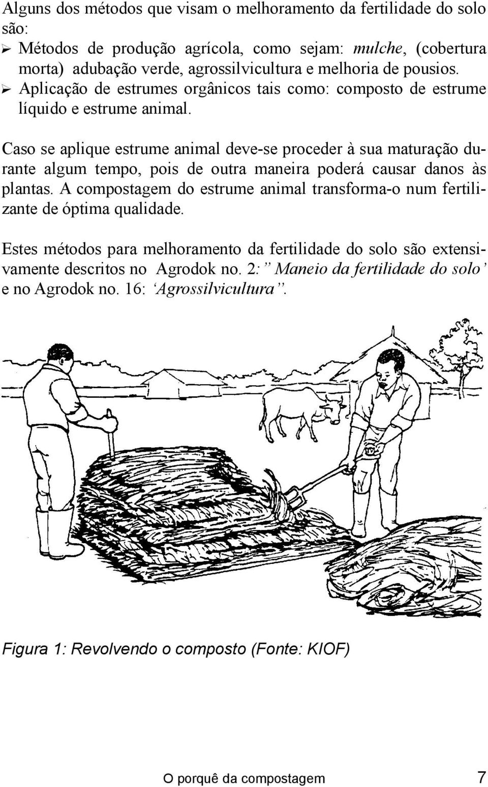 ? Aplicação de estrumes orgânicos tais como: composto de estrume líquido e estrume animal.